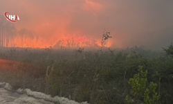 ABD'de Orman Yangını Felaketi: 120'den Fazla Ev Kül Oldu