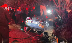 Otomobil Ağaca Çarptı: Feci Kazada 2 Kişi Hayatını Kaybetti, 2 Kişi Yaralandı