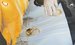 Iğdır’da Sahte Altın Operasyonu: 2 Şüpheli Yakalandı