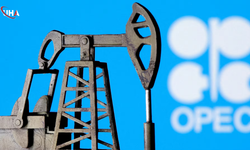 BAE, OPEC'ten Ayrılıyor