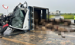 Siirt'te Can Pazarı: Koyun Yüklü Kamyonet Otomobille Çarpıştı