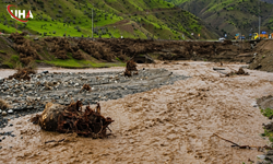 Siirt'te Sel Felaketi: 35 Küçükbaş Hayvan Telef Oldu