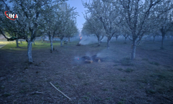 Iğdırlı Üreticiden Dumanlı Önlem: Kayısı Bahçelerinde Don Nöbeti