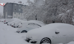 Bitlis’te Kar Yağışı Hayatı Olumsuz Etkiledi