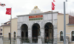 İstanbul Valiliği: 'Sokak Hayvanları Konusunda Geri Adım' İddiası Gerçeği Yansıtmıyor