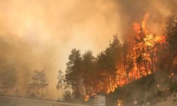 Dikkatsizlik Ve İhmal Sonucu 2025'te 1933 Orman Yangını Çıktı
