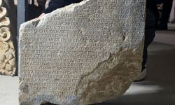 Bağcılık Ve İncir Yetiştiriciliği Antik Çağda Kurallarla Şekillendi
