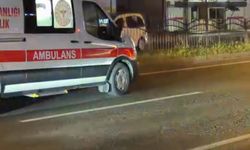 TPAO Bulvarı’nda Gece Kazası: Sürücü ve Yaya Yaşamını Yitirdi