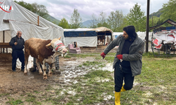 Kocaeli'de Dere Suları Yükselince Kurban Pazarı Tahliye Edildi