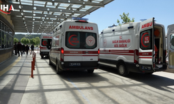 Çorum’da Acemi Kasaplar Kendilerini Yaraladı
