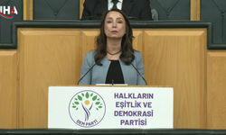 DEM Parti’den 16 Mayıs Çağrısı: Barış İçin Adım At