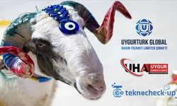 Uygurtürk Global Basından Birlik ve Beraberlik Vurgulu Bayram Tebriği