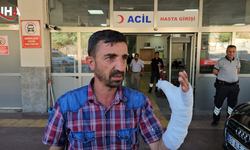 Şanlıurfa’da Bayram Sabahı Kurban Kazası 232 Kişi Hastanede