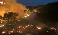 Muğla Dikilitaş'ta Orman Yangını