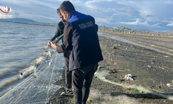 Van Gölü’nde Ağa Takılan 100 Kilo Canlı Balık Tekrar Suya Bırakıldı