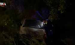 Bursa'da Otomobil Zeytinliğe Uçtu: