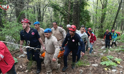 Kayıp Olarak Aranan Demans Hastası Ormanda Ölü Bulundu