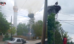 Aksaray'da Anne Leyleğin İnanılmaz Fedakarlığı