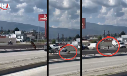 Antakya'da Firari Keçi Trafiği Birbirine Katti