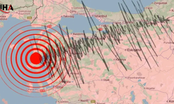 Ege Denizi Sallandı: AFAD'dan Deprem Açıklaması Geldi