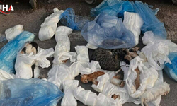 İzmir'deki Can Dostlarımızla İlgili Hadisede Yeni Gelişme