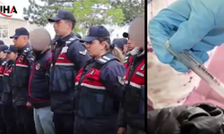 Jandarma Ekiplerinden Başarılı Yasa Dışı Madde Operasyonu