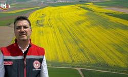 Tekirdağ'da Çiftçinin Yüzü Gülecek