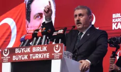 Mustafa Destici'nden Başıboş Köpek Saldırılarında Ölen Çocuklara İlişkin Açıklama