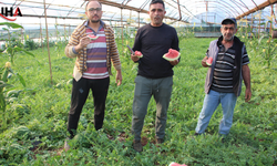 Antalya’da Karacaören Karpuzunda Hasat Başladı
