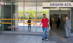 Kocaeli’de 379 'Acemi Kasap' Hastanelik Oldu