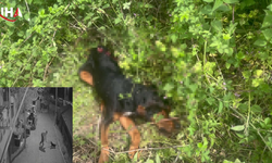 Demir Sopayla Köpeği Katletti