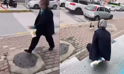 "Gel Annem Gel" Diyerek Çağırdığı Kedinin Yüzüne Kimyasal Sıktı