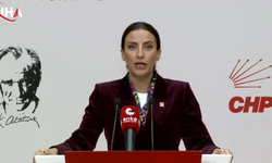 CHP’den Yangınla Mücadele Çıkışı: Eğitimsiz İnsanları Alevlerin İçine Atmayın