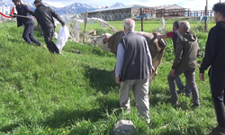 Erzurum’da Bayram Sabahı Kurban Keserken Kalp Krizi Geçirip Hayatını Kaybetti