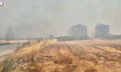 Silivri'de Korkutan Yangın: Alevler Yerleşim Yerlerine Yaklaştı