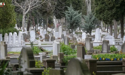 Türkiye'nin Sağlık Karnesi: Dolaşım Sistemi Hastalıkları İlk Sırada