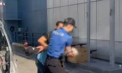 Köpeğe Şiddet Uygulayan Şahıs Gözaltında
