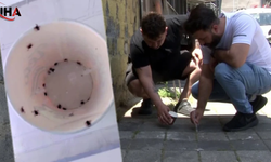 Mevsimsel Sıcaklıklarla Birlikte Kene Yoğunluğu Arttı