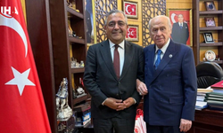 Sezgin Tanrıkulu, Bahçeli İle Görüştü