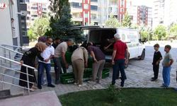 Malatya'da Acı Olay: Bir Hafta Önce Taşındığı Evde Ölü Bulundu