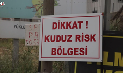 Van'da 7 Mahalle Karantina Bölgesi İlan Edildi