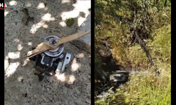 Kastamonu Cide'de Fındık Bahçesine İHA Düştü