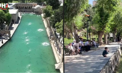Şanlıurfa'da Sıcaklık Rekoru: Termometreler 43 Derece