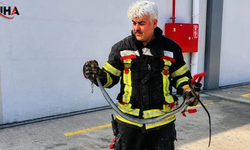 Mersin'de Sıcaklarla Birlikte Yılan İstilası