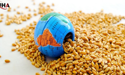 FAO Küresel Gıda Fiyat Endeksi Mayıs Verilerini Açıkladı