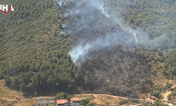 Burhaniye'de Korkutan Orman Yangını