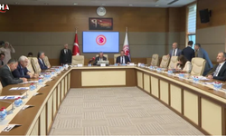 Meclis Komisyonu'nda Çarpıcı Okul Güvenliği Raporu
