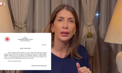 Cumhurbaşkanına Hakaret Suçlaması: Tamar Tanrıyar'ın Yurt Dışına Kaçtığı Ortaya Çıktı
