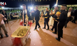 Tokat'ta Takı Merasimine El Arabasıyla Geldiler