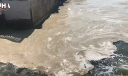 Gemlik Sahillerinde Müsilaj Alarmı